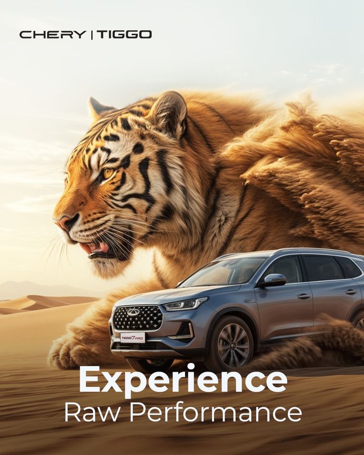 Advertisement